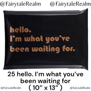 10”x13” I’m what you’ve been ( 25 ) Poly Mailers, Shipping Envelopes, Gift Bags